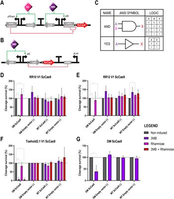 GenoMine: a CRISPR-Cas9-based kill switch for biocontainment of Pseudomonas putida